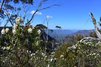 Blue-Mountains-Nationalpark &ndash; &copy; Eric Richter (Eberhardt TRAVEL)