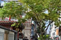 Singapore &ndash; &copy; Eric Richter (Eberhardt TRAVEL)