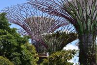 Singapore &ndash; &copy; Eric Richter (Eberhardt TRAVEL)