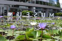 Singapore &ndash; &copy; Eric Richter (Eberhardt TRAVEL)