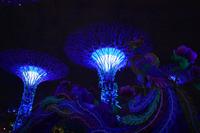 Singapore &ndash; &copy; Eric Richter (Eberhardt TRAVEL)