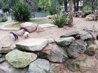 Featherdale Wildlife Park &ndash; &copy; Vanessa van Dam (Eberhardt TRAVEL)