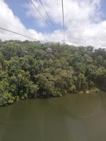 Skyrail über den Regenwald &ndash; &copy; Vanessa van Dam (Eberhardt TRAVEL)