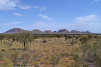 Kata Tjuta - Erster Fotostopp &ndash; &copy; Andreas Wolfsteller (Eberhardt TRAVEL)