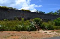 Isle of Pines - Ruinen der Strafkolonie &ndash; &copy; Andreas Wolfsteller (Eberhardt TRAVEL)