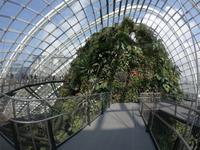 Gardens by the Bay - Singapur &ndash; &copy; Jacob Spangenberg (Eberhardt TRAVEL)