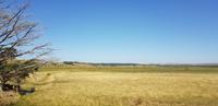 Ausflug zur Great Ocean Road &ndash; &copy; Jacob Spangenberg (Eberhardt TRAVEL)