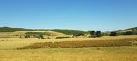 Ausflug zur Great Ocean Road &ndash; &copy; Jacob Spangenberg (Eberhardt TRAVEL)
