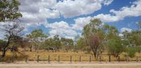 Rundfahrt durch Alice Springs &ndash; &copy; Jacob Spangenberg (Eberhardt TRAVEL)