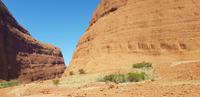 Rundgang an den Kata Tjutas / Olgas &ndash; &copy; Jacob Spangenberg (Eberhardt TRAVEL)