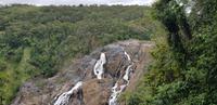 Fahrt mit der Skyrail nach Kuranda &ndash; &copy; Jacob Spangenberg (Eberhardt TRAVEL)