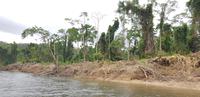 Crocodile Cruise auf dem Daintree River &ndash; &copy; Jacob Spangenberg (Eberhardt TRAVEL)