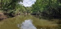 Crocodile Cruise auf dem Daintree River &ndash; &copy; Jacob Spangenberg (Eberhardt TRAVEL)