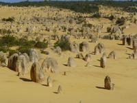 044 Perth - Pinnacles im Namburg-NP &ndash; &copy; Jens Petzoldt (Eberhardt TRAVEL)
