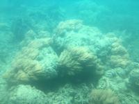 Great Barrier Reef1 &ndash; &copy; Laura Wonneberger (Eberhardt TRAVEL)
