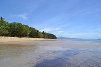 Daintree Nationalpark (15) &ndash; &copy; Laura Wonneberger (Eberhardt TRAVEL)