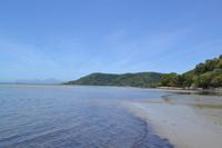 Daintree Nationalpark (19) &ndash; &copy; Laura Wonneberger (Eberhardt TRAVEL)
