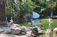 Featherdale Wildlife Park (39) &ndash; &copy; Laura Wonneberger (Eberhardt TRAVEL)
