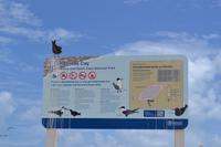 Great Barrier Reef (18) &ndash; &copy; Laura Wonneberger (Eberhardt TRAVEL)