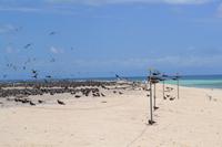 Great Barrier Reef (19) &ndash; &copy; Laura Wonneberger (Eberhardt TRAVEL)