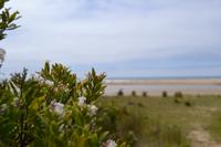 Great Ocean Road (9) &ndash; &copy; Laura Wonneberger (Eberhardt TRAVEL)