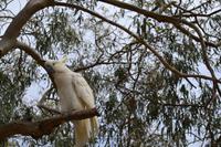 Kennett River Fotostop (5) &ndash; &copy; Laura Wonneberger (Eberhardt TRAVEL)