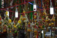 Little India- Singapur (6) &ndash; &copy; Laura Wonneberger (Eberhardt TRAVEL)