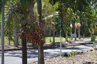 Mossman Gorge (1) &ndash; &copy; Laura Wonneberger (Eberhardt TRAVEL)