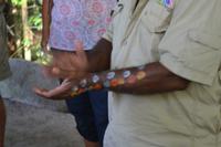 Mossman Gorge (3) &ndash; &copy; Laura Wonneberger (Eberhardt TRAVEL)