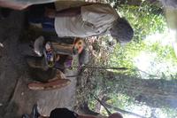 Mossman Gorge &ndash; &copy; Laura Wonneberger (Eberhardt TRAVEL)