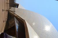 Oper Sydney (9) &ndash; &copy; Laura Wonneberger (Eberhardt TRAVEL)
