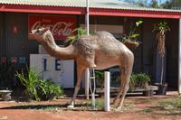 Outback (5) &ndash; &copy; Laura Wonneberger (Eberhardt TRAVEL)