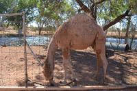 Outback (8) &ndash; &copy; Laura Wonneberger (Eberhardt TRAVEL)