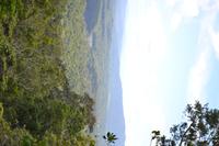 Regenwald bei Kuranda (7) &ndash; &copy; Laura Wonneberger (Eberhardt TRAVEL)