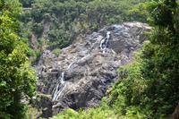Regenwald bei Kuranda (11) &ndash; &copy; Laura Wonneberger (Eberhardt TRAVEL)