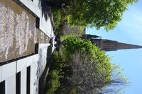 St. Patrick's Cathedral (5) &ndash; &copy; Laura Wonneberger (Eberhardt TRAVEL)