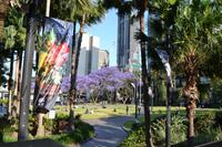 Sydney (39) &ndash; &copy; Laura Wonneberger (Eberhardt TRAVEL)