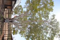 Telegrafenstation Outback (5) &ndash; &copy; Laura Wonneberger (Eberhardt TRAVEL)