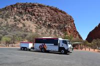 Fahrt durchs Outback - Das Biest
