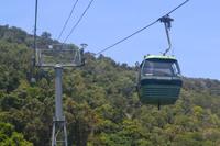 Mit der Seilbahn über die Dächer des Regenwalds nach Kuranda