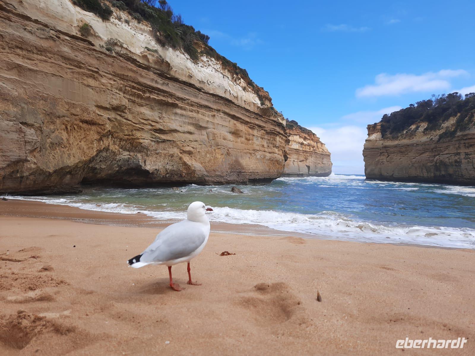 Sydney &ndash; &copy; Franziska Bergmann (Eberhardt TRAVEL)