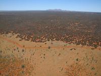 Helikopter Rundflug am Ayers Rock &ndash; &copy; Jacob Spangenberg (Eberhardt TRAVEL)