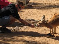 Desert Park  - Alice Springs &ndash; &copy; Jacob Spangenberg (Eberhardt TRAVEL)