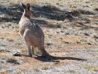Simpsons Gap - Alice Springs &ndash; &copy; Jacob Spangenberg (Eberhardt TRAVEL)
