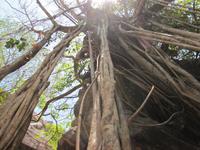 am Ubirr Felsen &ndash; &copy; Jacob Spangenberg (Eberhardt TRAVEL)