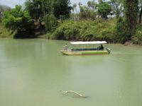 am Alligatorriver &ndash; &copy; Jacob Spangenberg (Eberhardt TRAVEL)