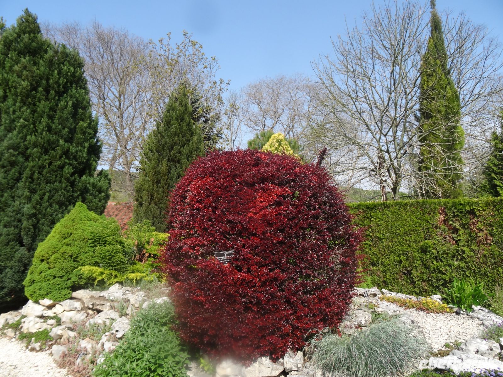 Botanischer Garten in Balchik &ndash; &copy; Elke Knappe (Eberhardt TRAVEL)