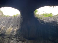 oder Katzengesicht? &ndash; &copy; Elke Knappe (Eberhardt TRAVEL)