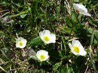Frühlingserwachen im 7 Seen Rila Nationalpark &ndash; &copy; Betina Marinow (Eberhardt TRAVEL)