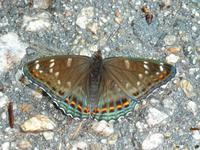 im Naturpark Rila Kloster  &ndash; &copy; Betina Marinow (Eberhardt TRAVEL)